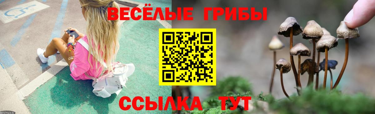 Дивногорск  Галлюциногенные грибы Cubensis  Вход с VPN 